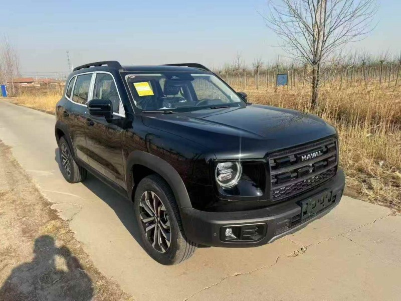 秦皇岛25年哈弗大狗2