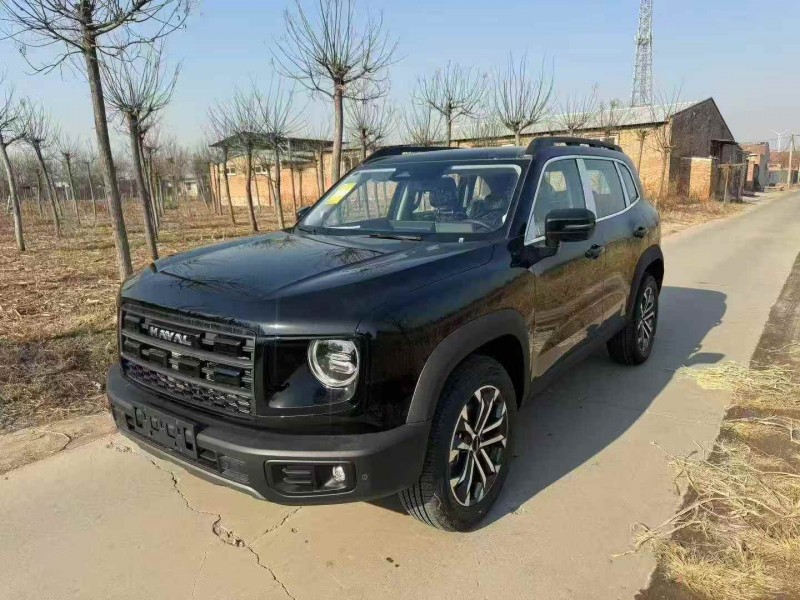 秦皇岛25年哈弗大狗3