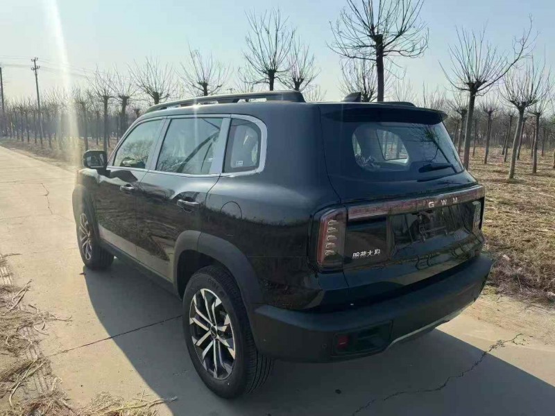 秦皇岛25年哈弗大狗7