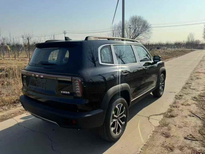 秦皇岛25年哈弗大狗8