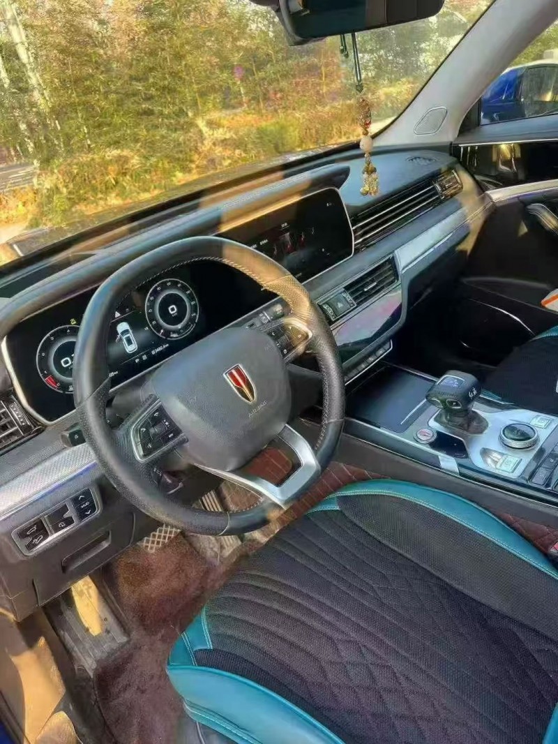 徐州21年红旗HS56