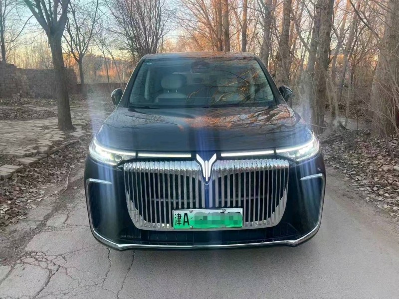 沧州25年岚图汽车梦想家1