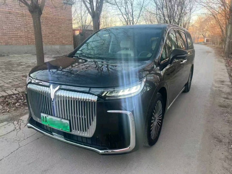 沧州25年岚图汽车梦想家2