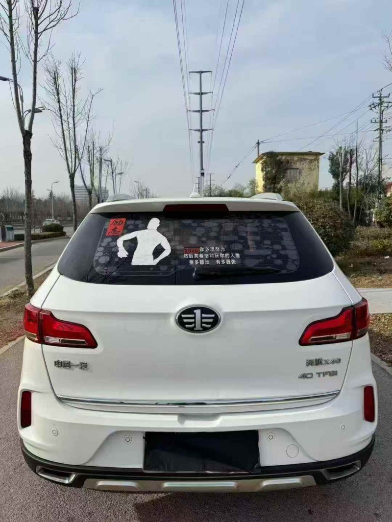 枣庄18年奔腾X409