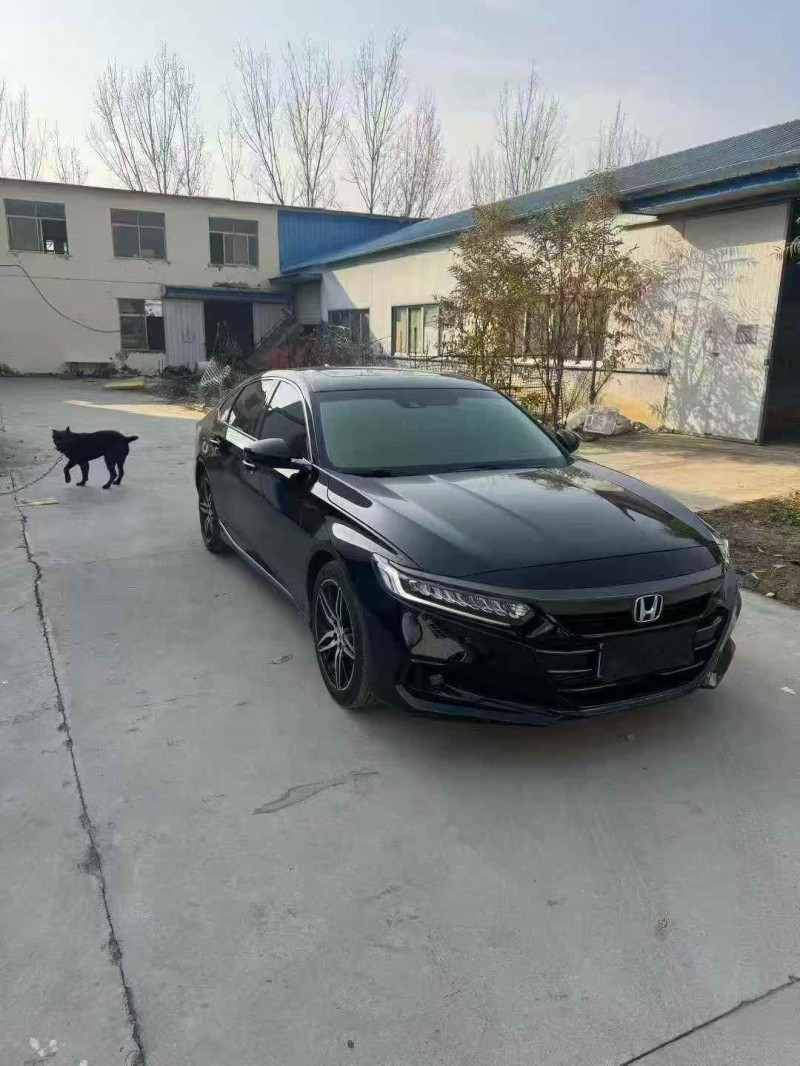 枣庄23年本田雅阁3