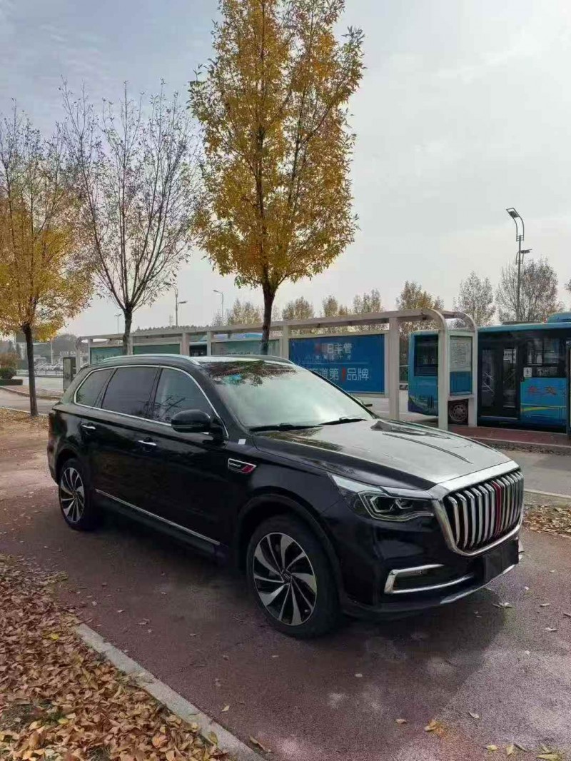 济宁20年红旗HS73