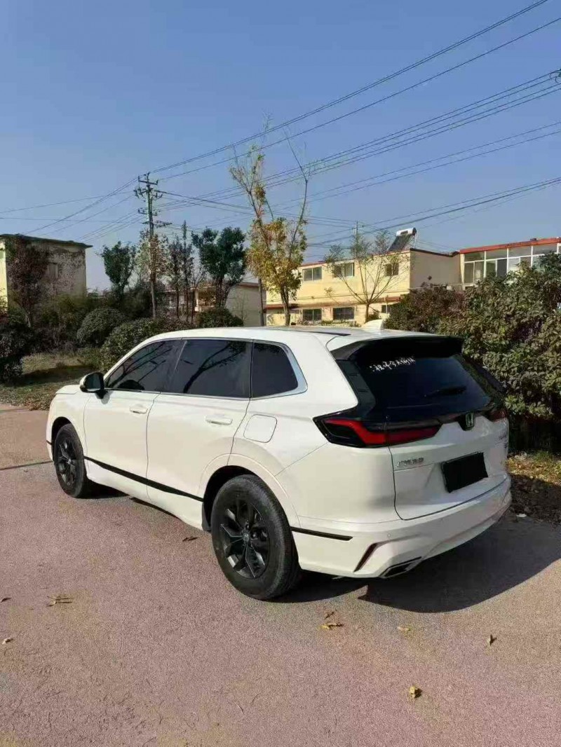 枣庄24年本田皓影4