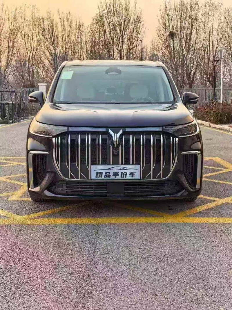 秦皇岛25年岚图汽车梦想家1