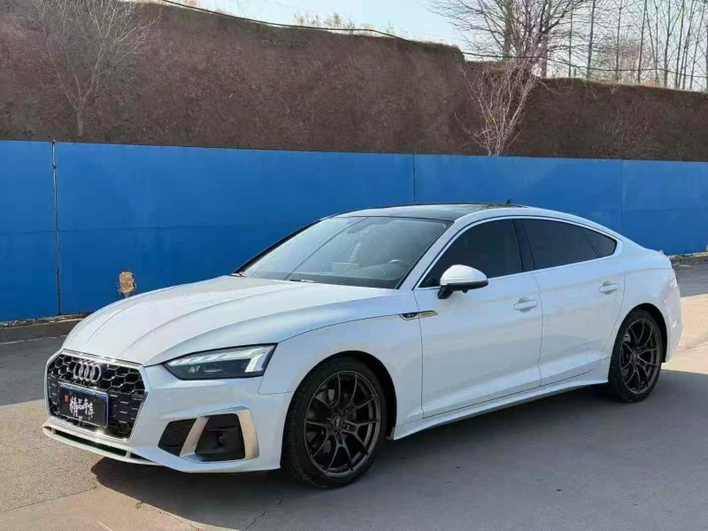 东营21年奥迪A52