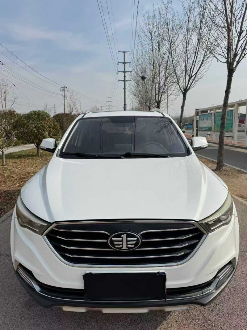 枣庄18年奔腾X401