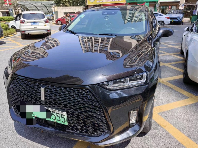 重庆18年长城汽车WEY1