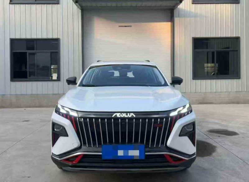 芜湖24年东风风神1