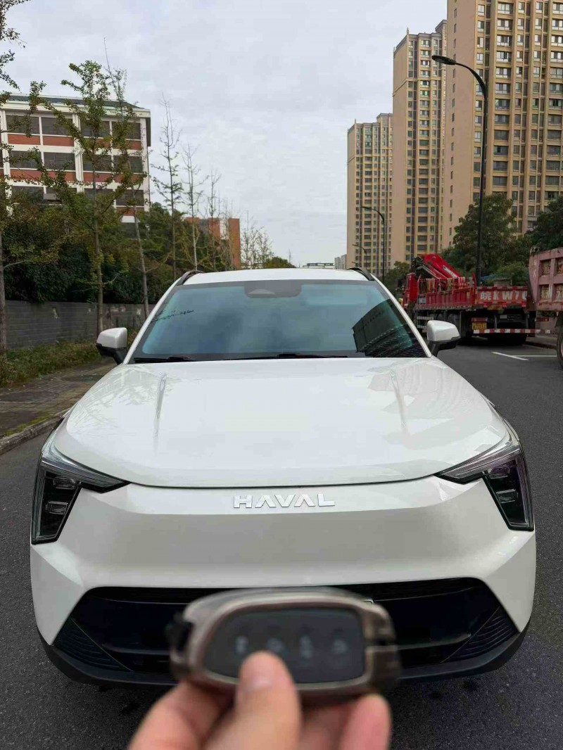 蚌埠23年哈弗枭龙1