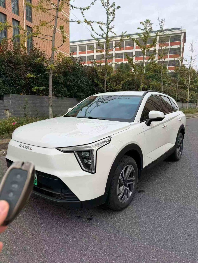 蚌埠23年哈弗枭龙2