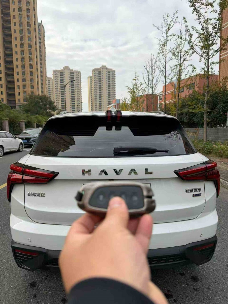 蚌埠23年哈弗枭龙9