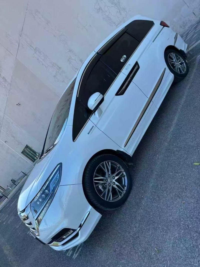 营口20年本田艾力绅6