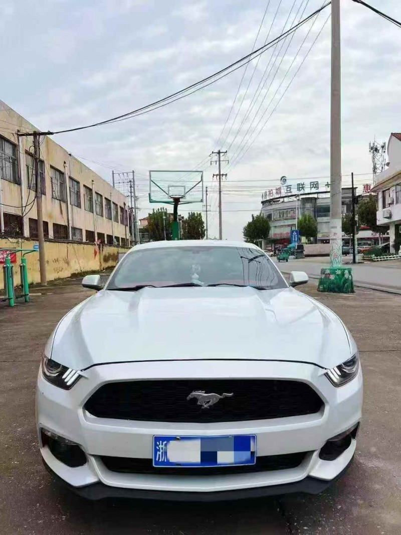 枣庄16年福特野马1