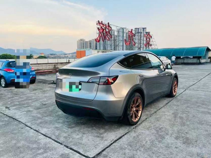 东莞22年特斯拉MODEL Y9