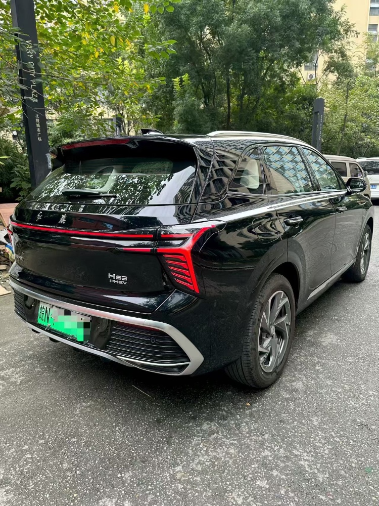 成都25年红旗HS39