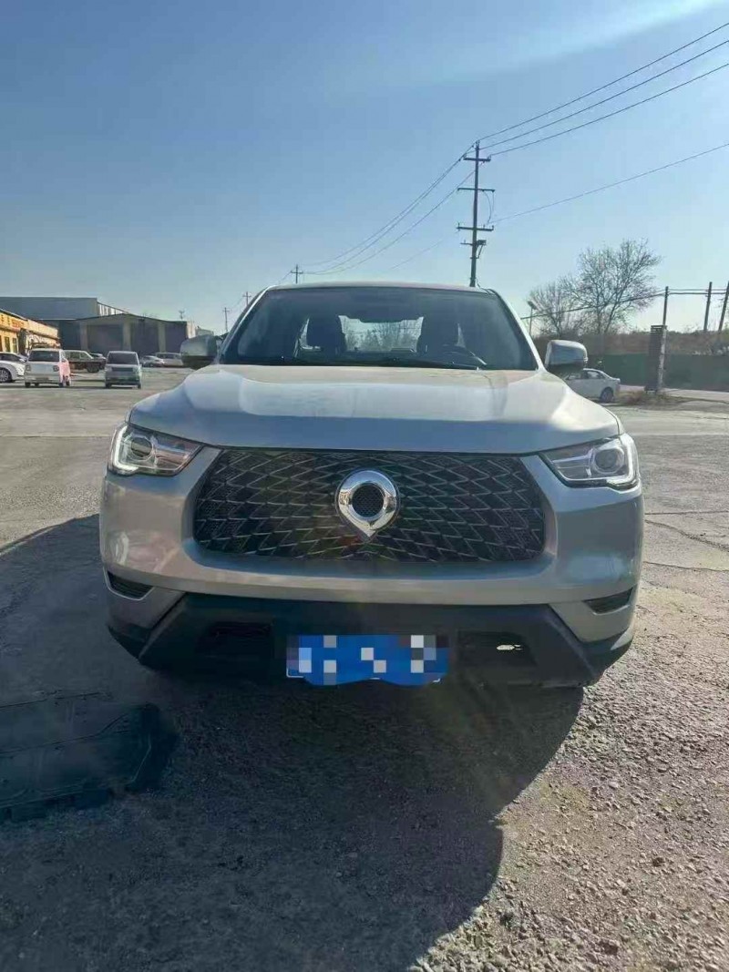 日照22年长城汽车炮 皮卡1