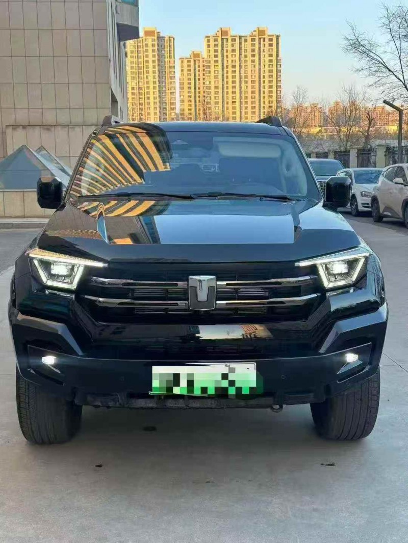 济宁25年长城汽车坦克1