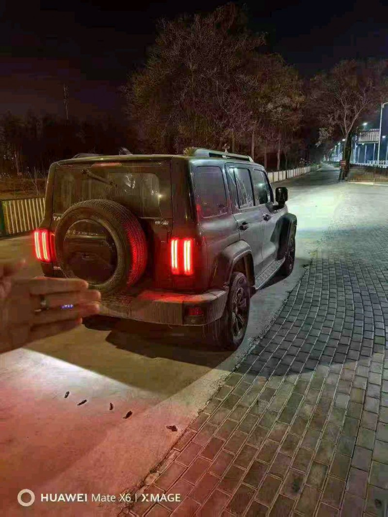 乌海23年长城汽车坦克6