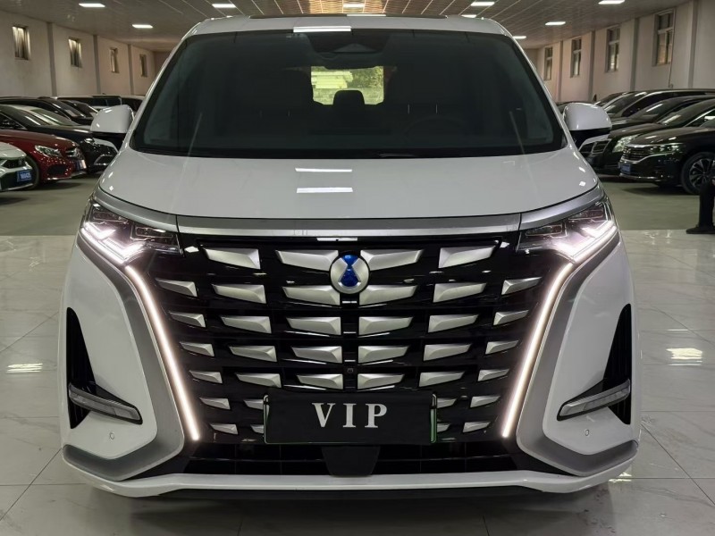 廊坊23年腾势D91