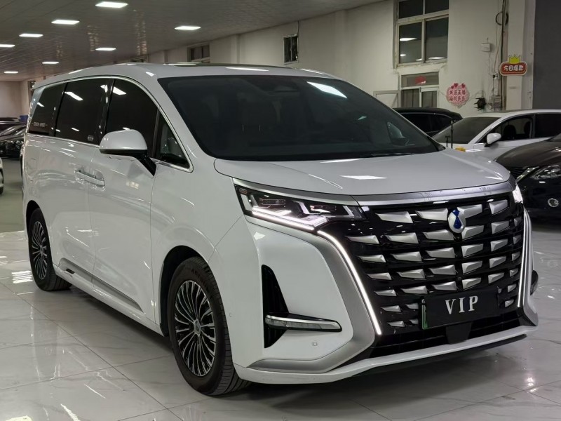 廊坊23年腾势D93