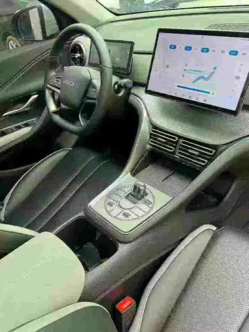 东营25年比亚迪海狮5