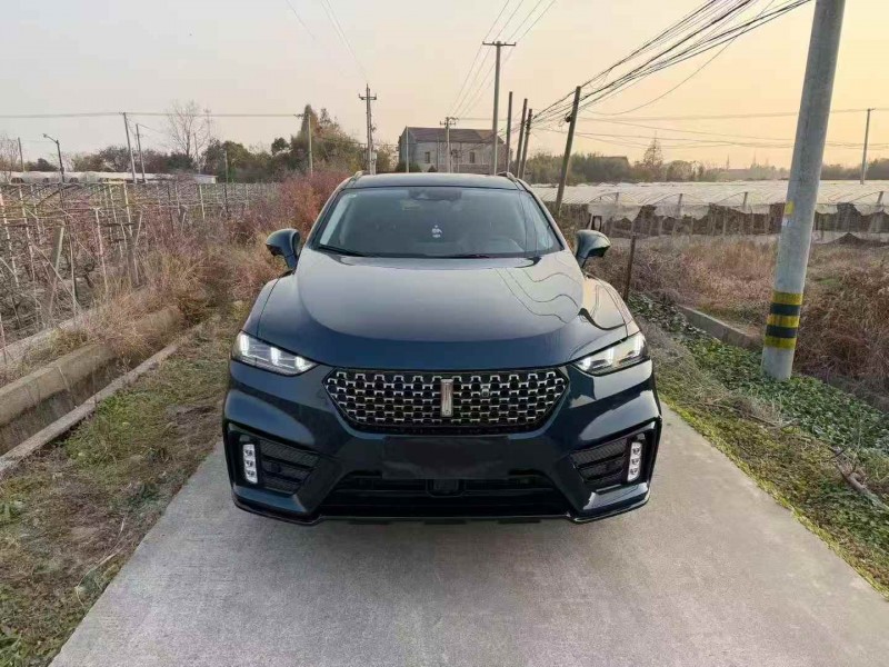 湖州20年长城汽车魏牌1