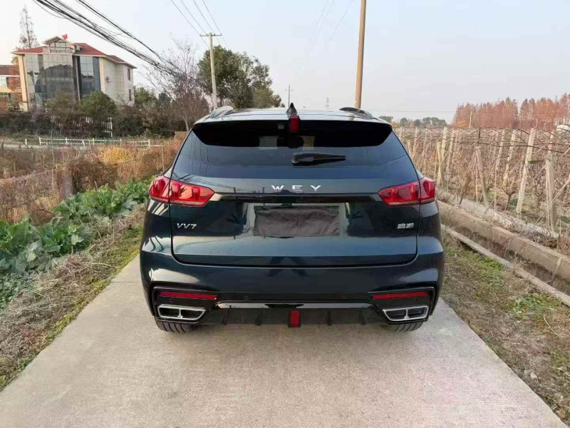 湖州20年长城汽车魏牌9