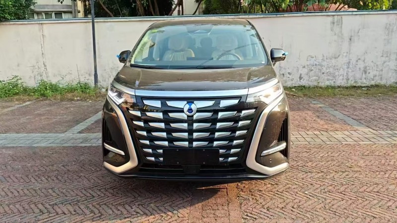 广州25年腾势D91