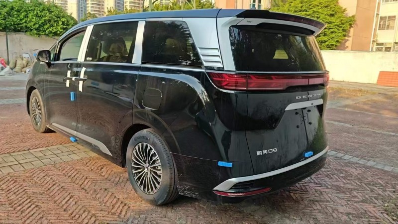 广州25年腾势D95