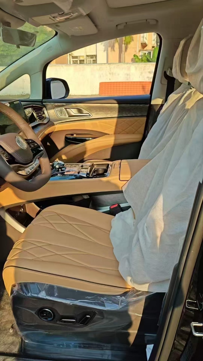 广州25年腾势D96