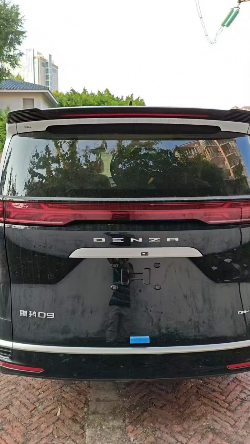 广州25年腾势D99