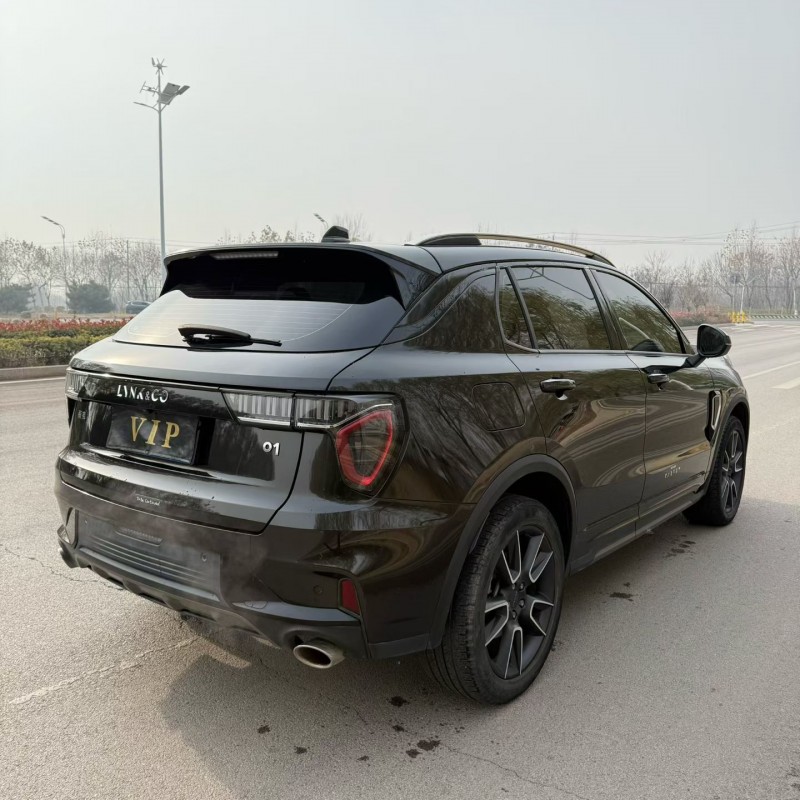 枣庄21年领克019