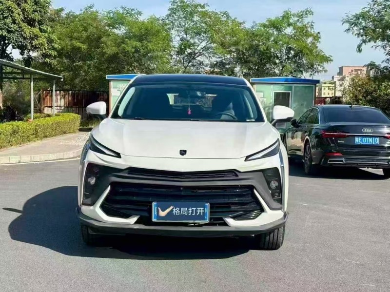 广州24年东风风行1