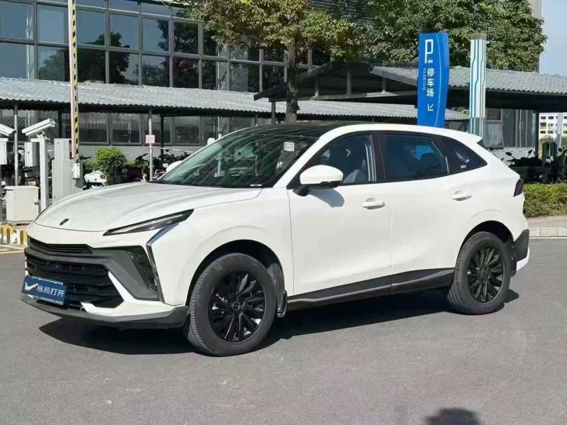 广州24年东风风行2