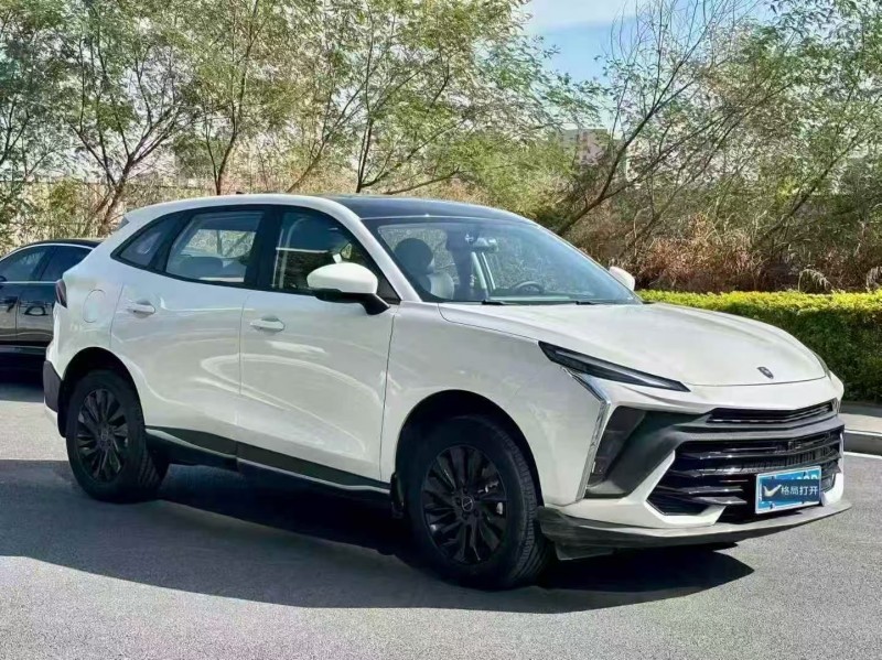 广州24年东风风行3