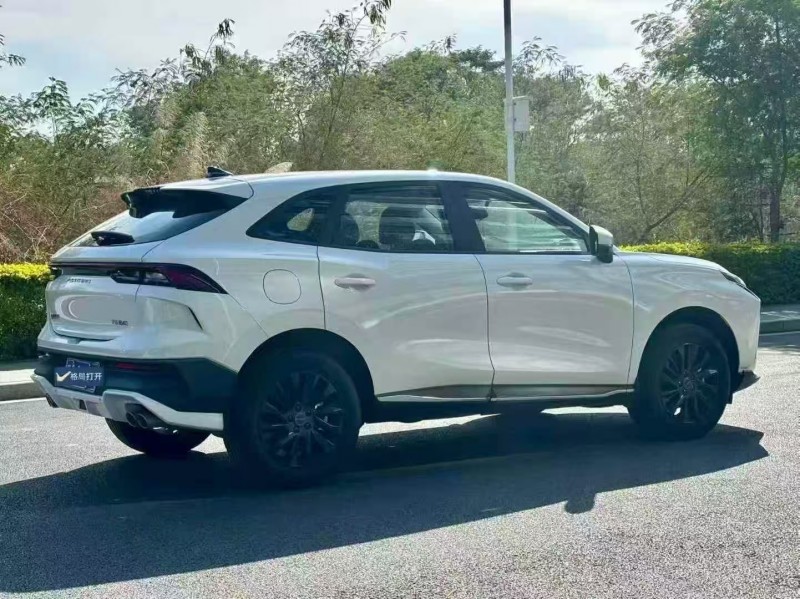 广州24年东风风行7