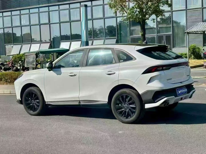 广州24年东风风行8