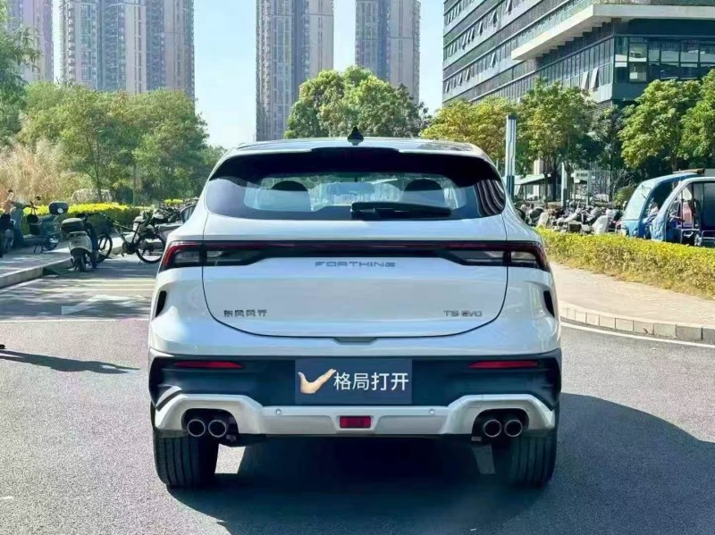 广州24年东风风行9