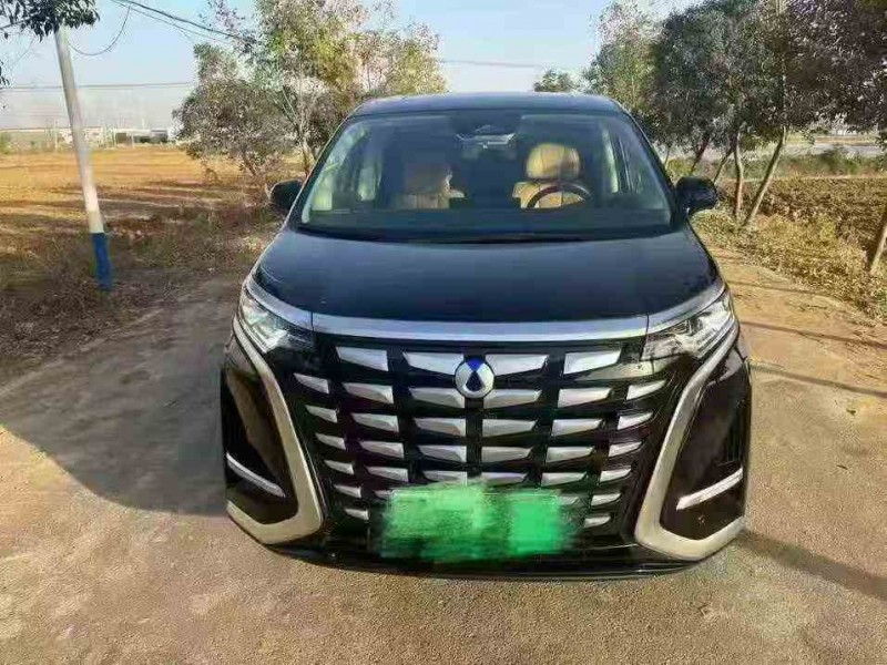 徐州25年腾势D91