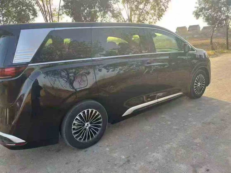 徐州25年腾势D96