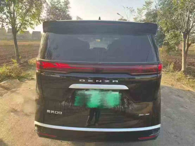 徐州25年腾势D98