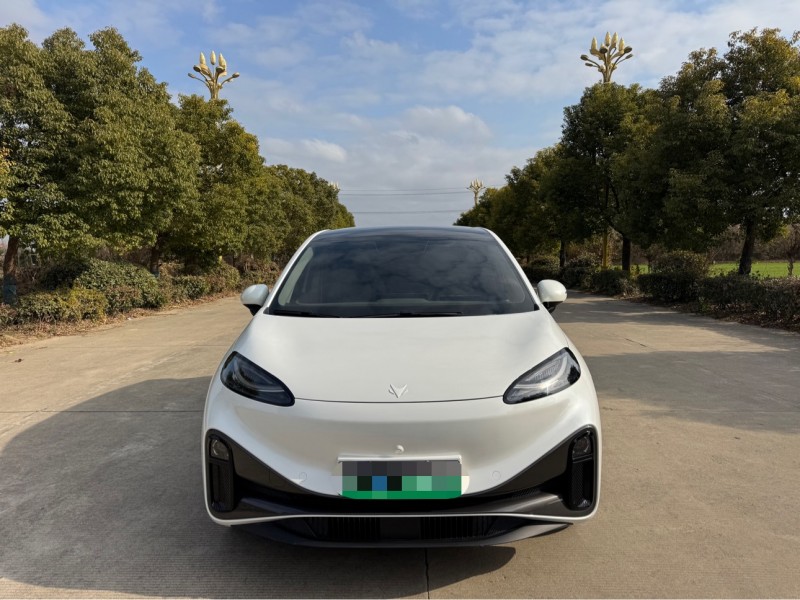 盐城25年极狐汽车考拉1