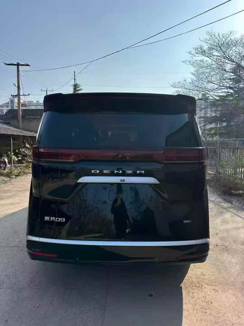 枣庄24年腾势D99