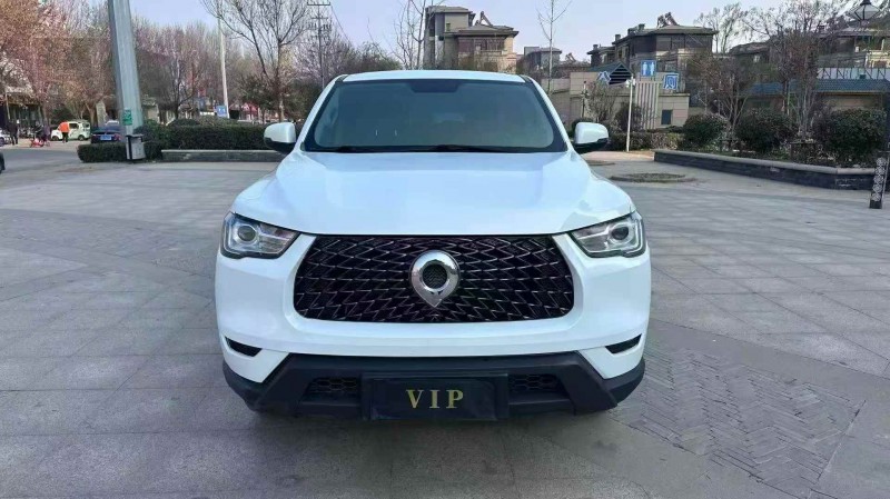 济宁21年长城汽车炮 皮卡1