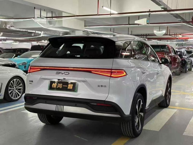 深圳25年比亚迪海狮8