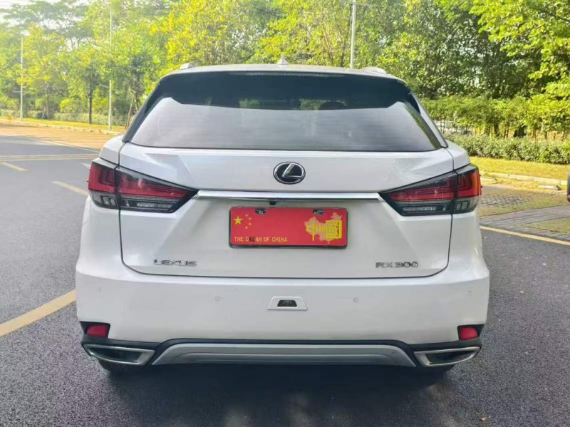 广州21年雷克萨斯NX9